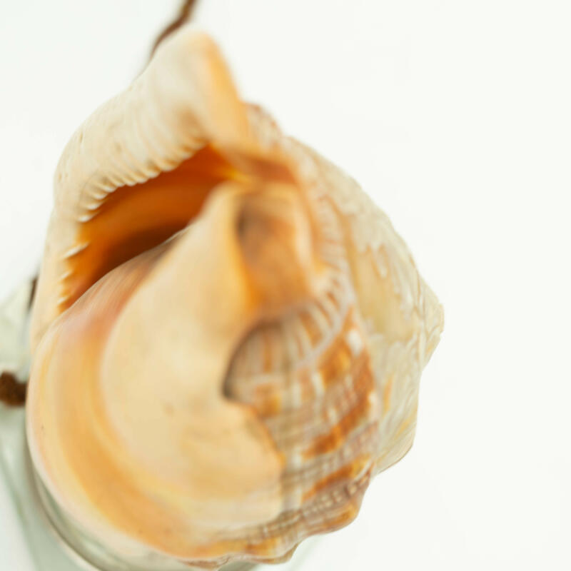 Shell II4