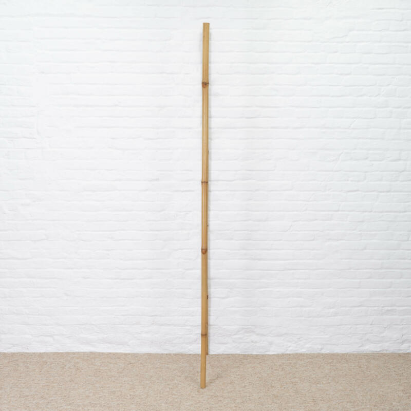 Bamboo ledder 3